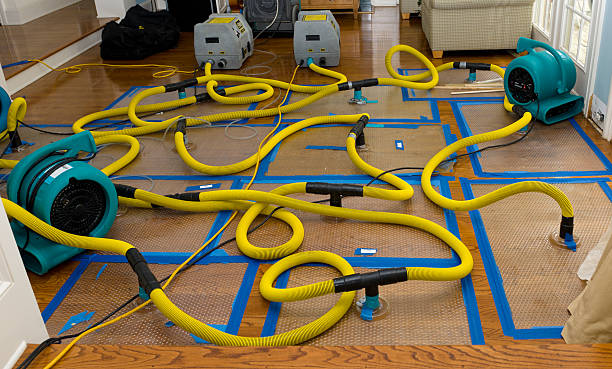 Professional Flood Damage Restoration technician working in Cloverdale, IN
