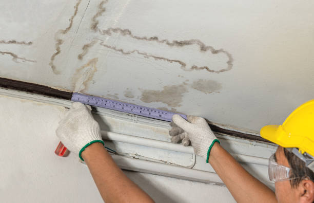 Affordable Water Damage Repair solutions in Cloverdale, IN